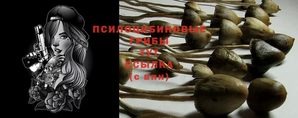 Альфа ПВП Алзамай