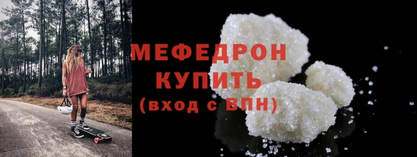 шишки Слюдянка