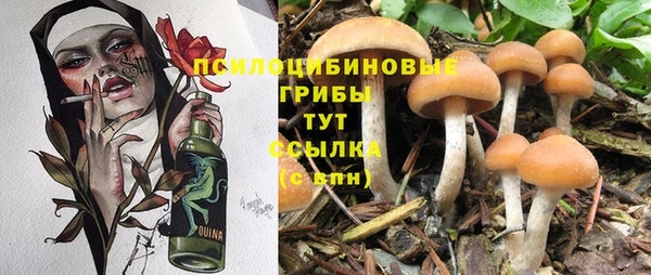 стафф Алексеевка