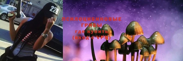 Альфа ПВП Алзамай