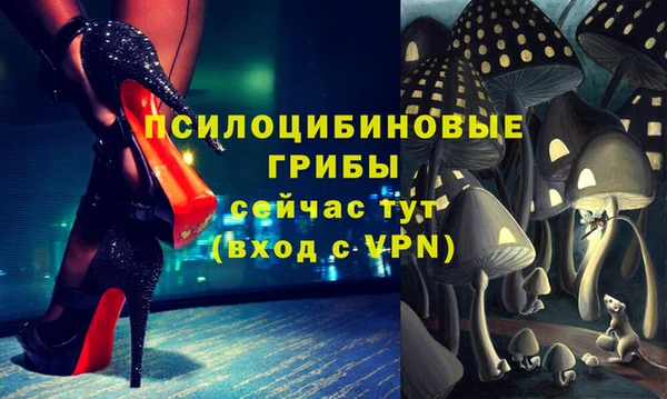 мдпв Алексин