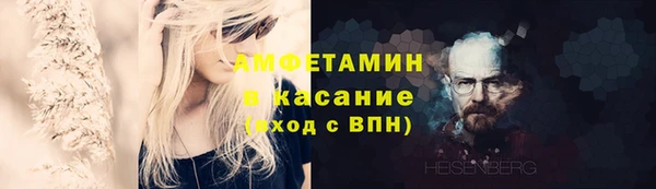 шишки Слюдянка