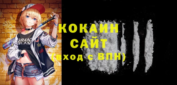 амф Ельня