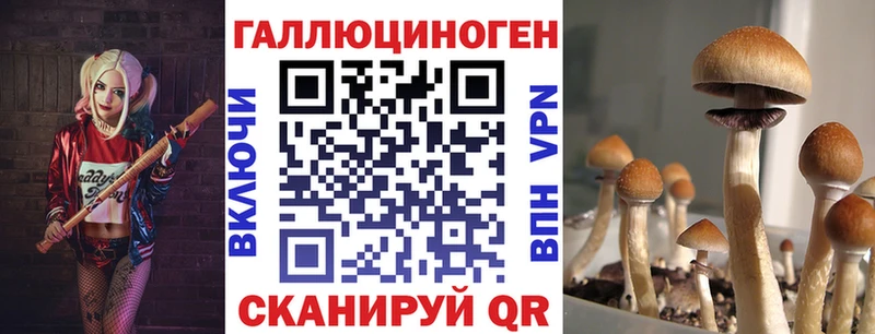 купить  цена  Кола  Галлюциногенные грибы ЛСД 